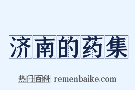 济南的药集是什么意思的图片